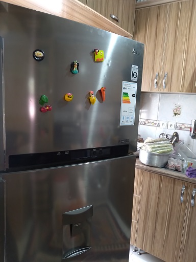 رفع مشکل عدم سرمایش و دیفراست یخچال فریزر ال جی مدل TF34TS در رشت 09112305332